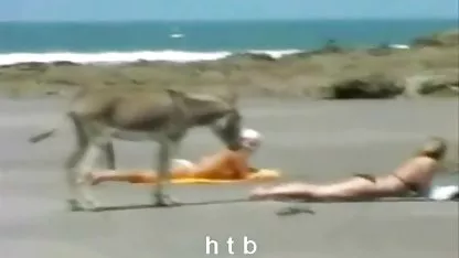 کلینیک فیلم سکسی با لینک مستقیم شیطان Antics